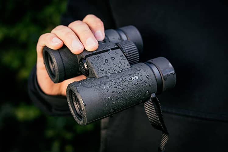 Nikon