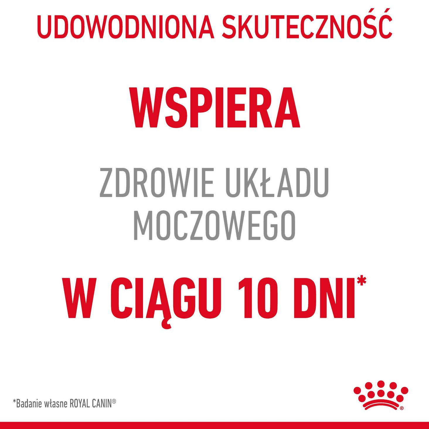 Udowodniona skuteczność
