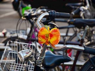 europejskie wyzwanie rowerowe 1