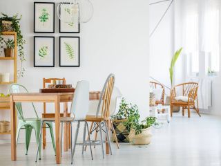 Wiosna w domu – 6 trików, dzięki którym poczujesz wiosenną atmosferę we własnych progach