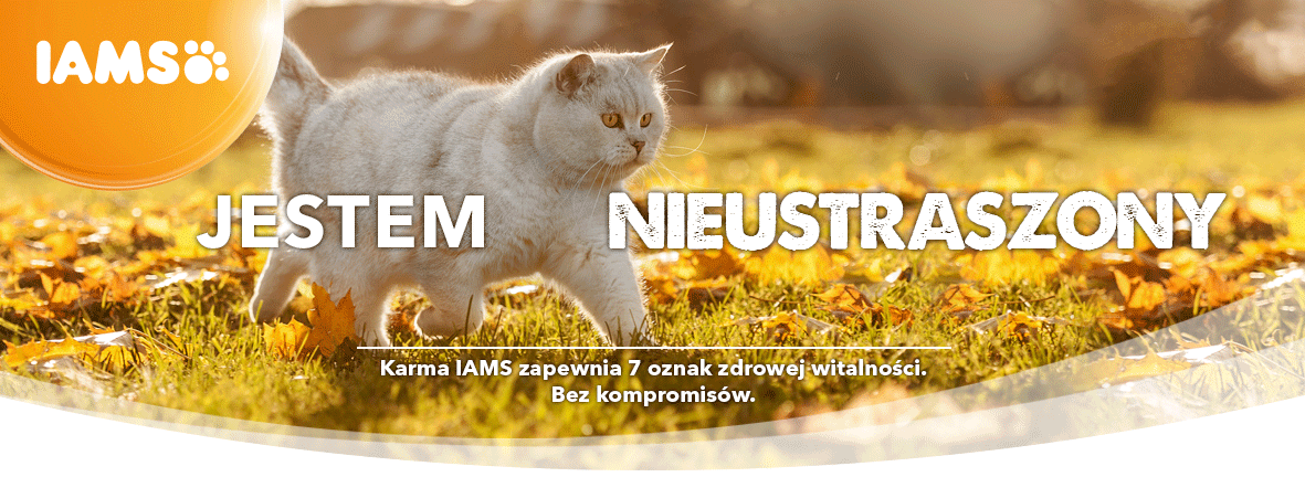 iams karma