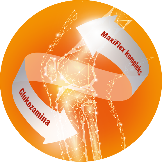 MaxiFlex kompleks Glukozamina