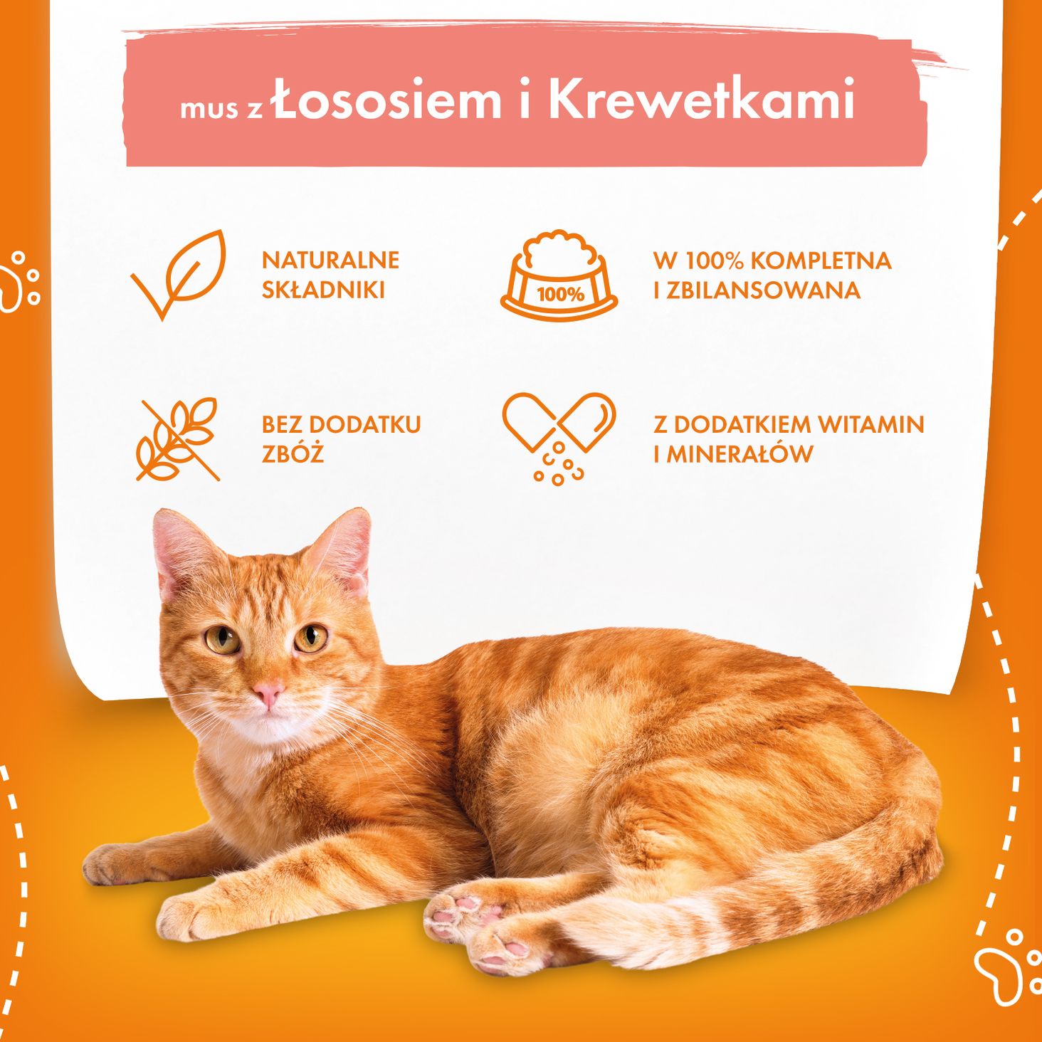 butcher's o kot mus z łososiem i krewetkami