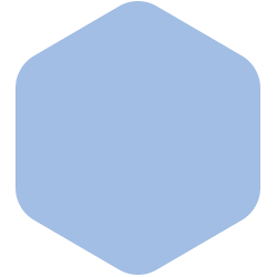 Bondex