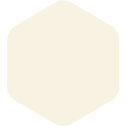 bondex