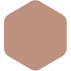 bondex