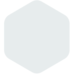 bondex