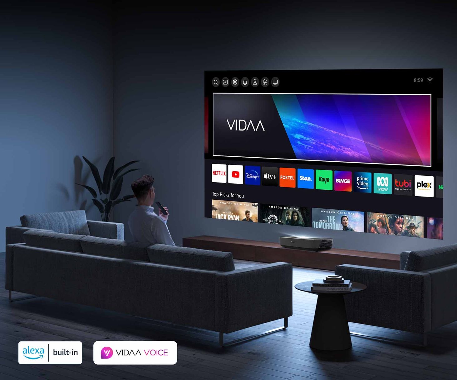 Hisense PL1SE Kontrola głosu