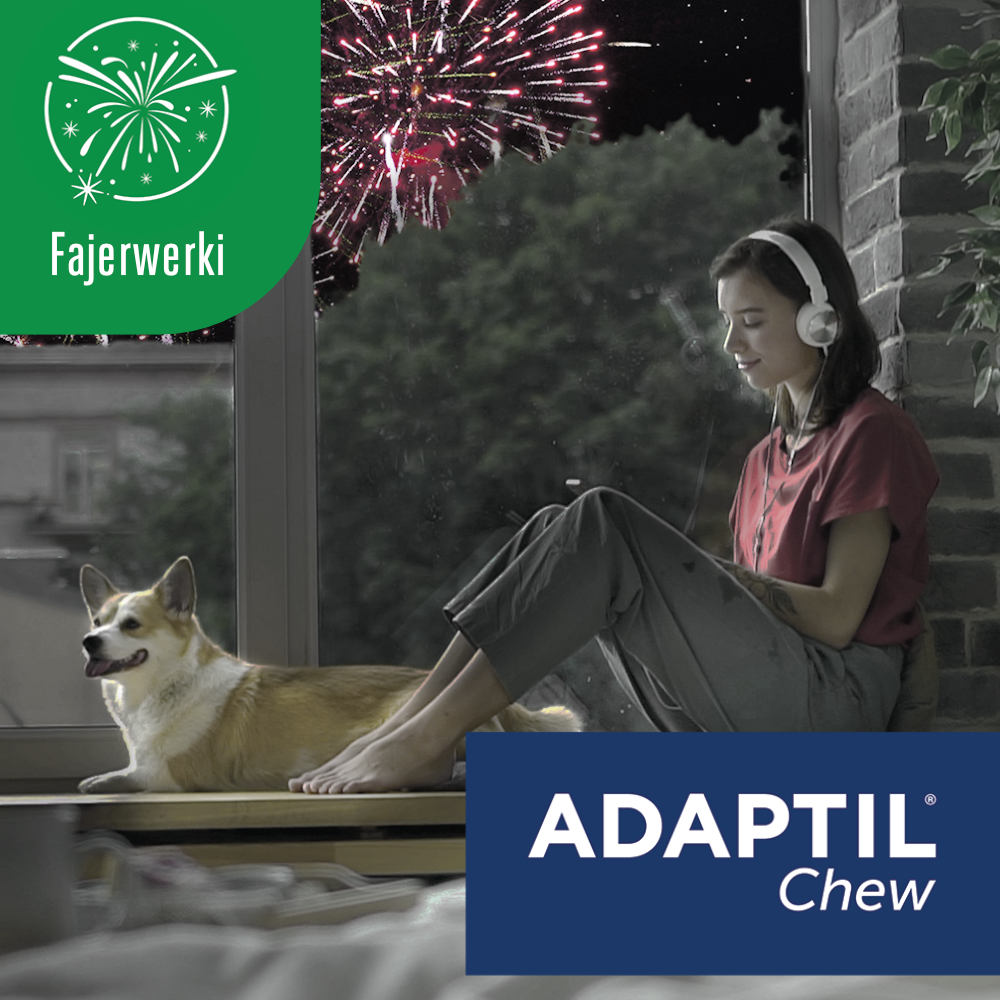 Adaptil Chew - Ceny i opinie 