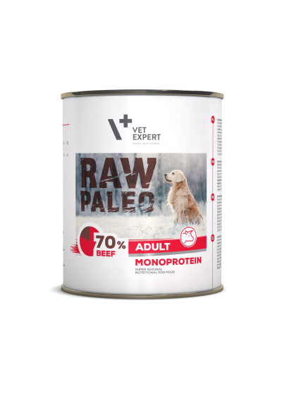 RAW PALEO