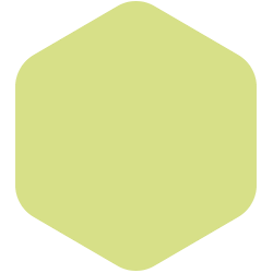 bondex