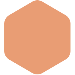 bondex