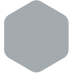 bondex