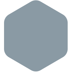 bondex