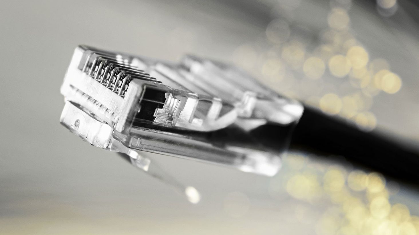 EIZO port LAN