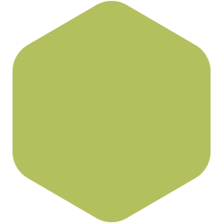 bondex