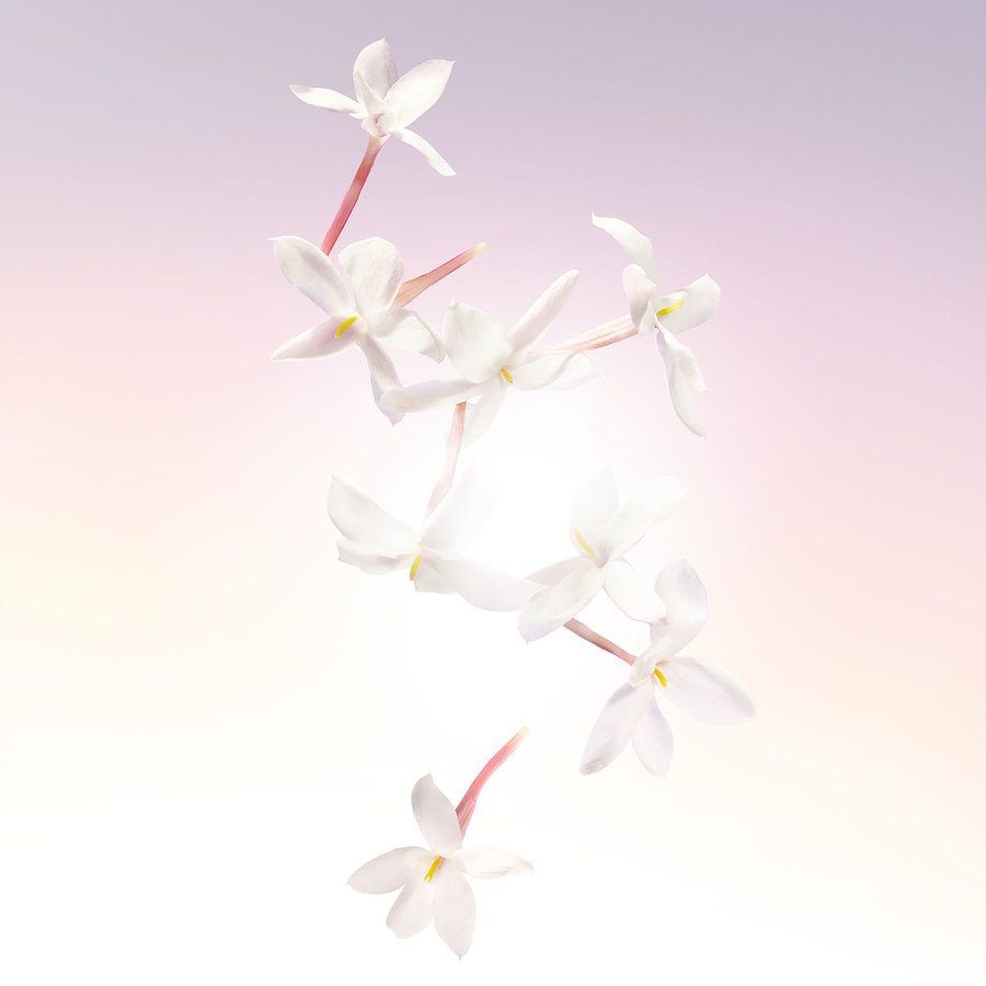 Lancome Idole