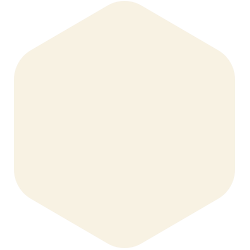 bondex