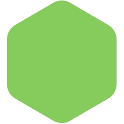 bondex