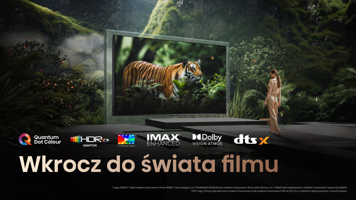 Hisense 9.Documentary