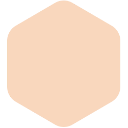 bondex