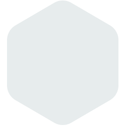 bondex