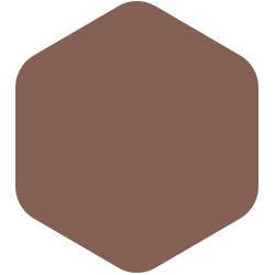 bondex
