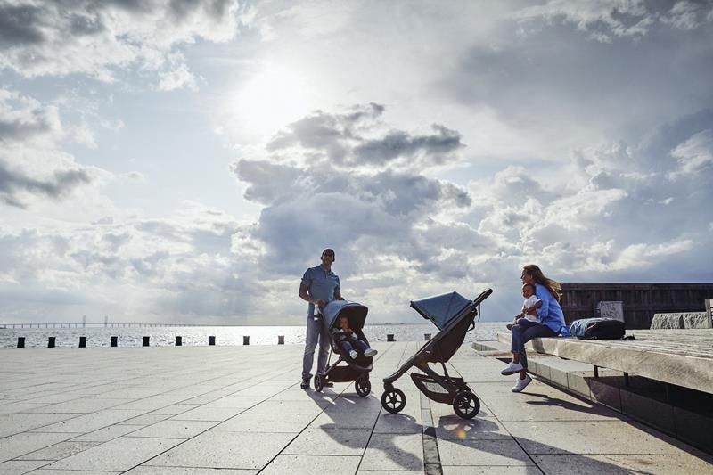 THULE SPRING TEAL MELANGE SPACEROWY