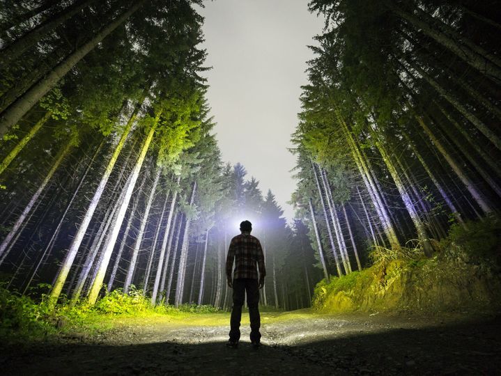 Back view of man with head flashlight standing on forest ground