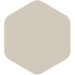 bondex