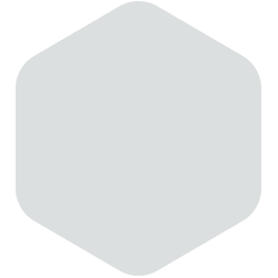bondex