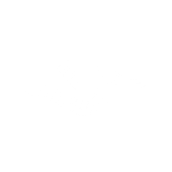 ASUS ROG Ally icon 3