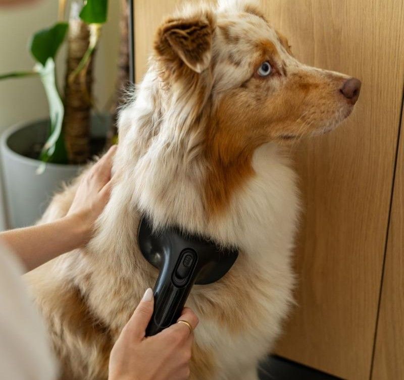 Пилосос Gorenje - набір для догляду за домашніми тваринами