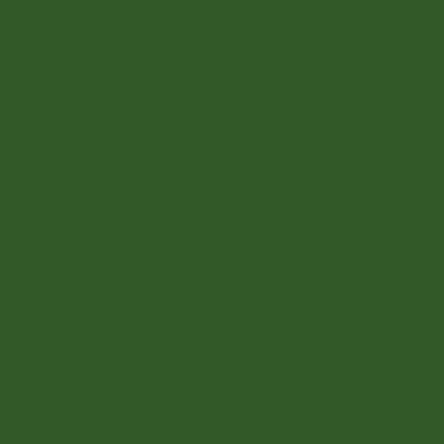  RAL6002