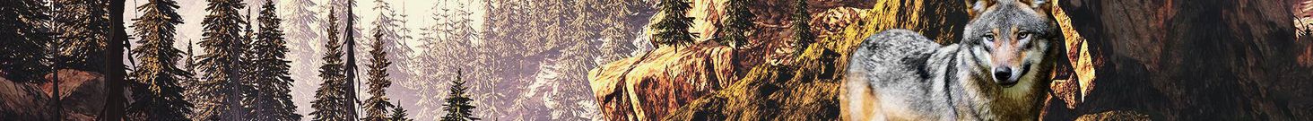 carnilove banner
