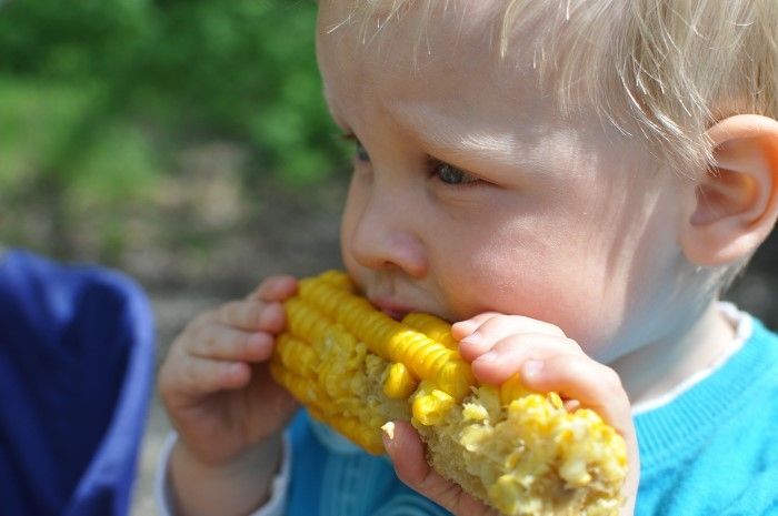 dziecko je kukurydzę rękoma