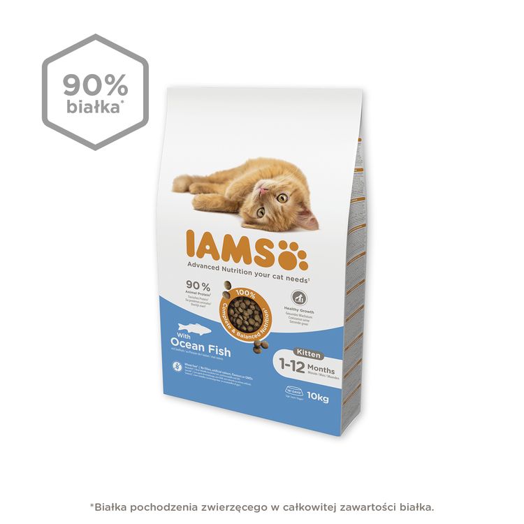 IAMS Advanced Nutrition – sucha karma dla kociąt 