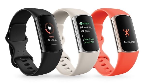 Fitbit - Fitbit Charge 6 Porcelain Silver アルミニウム i-fitbit-charge-6-srebrna-