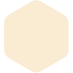 bondex
