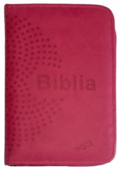 Biblia z kolorową wkładką - 1