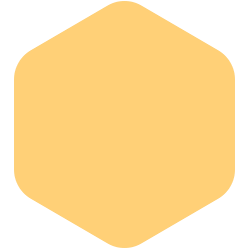 bondex