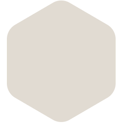 bondex