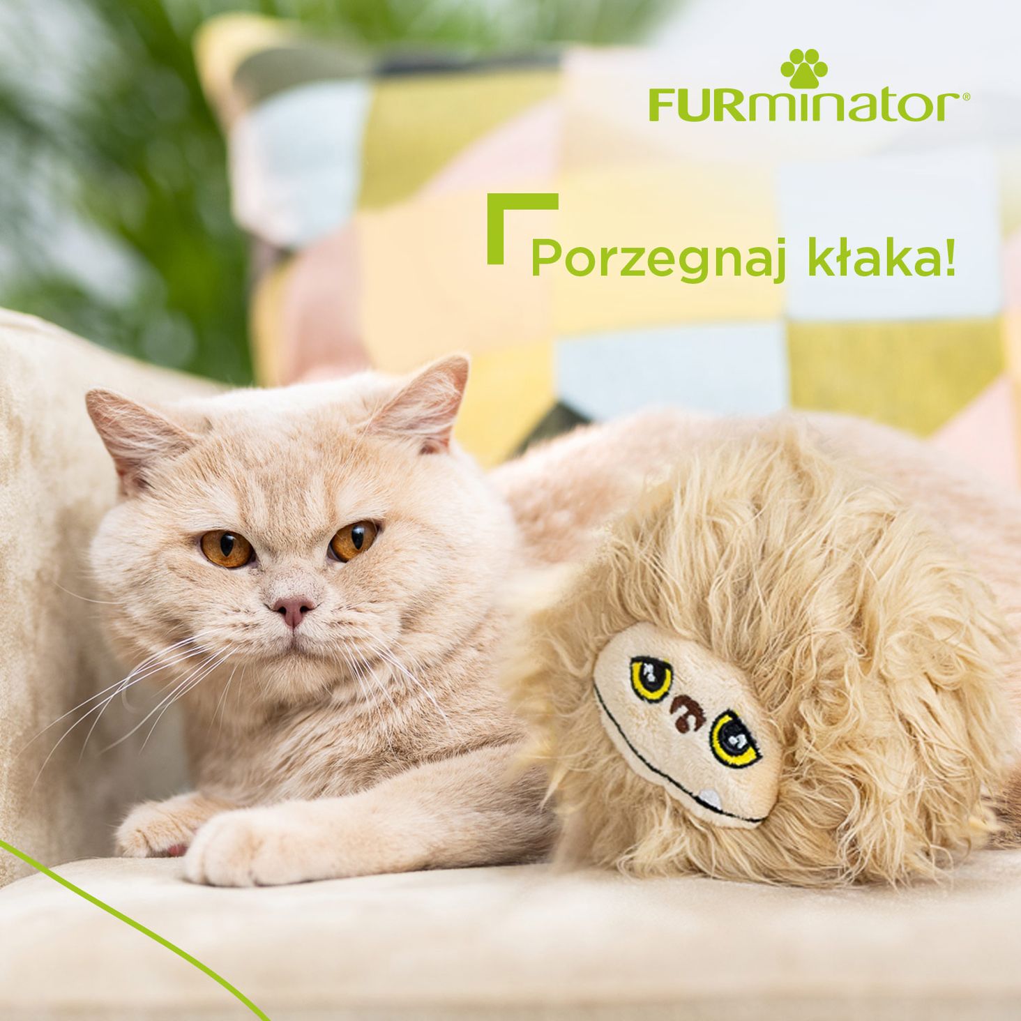 FURminator  zdjęcie 6
