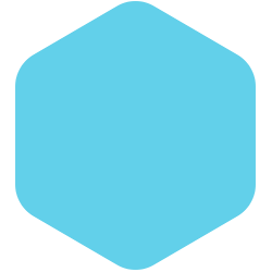 bondex