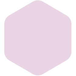 bondex