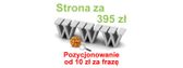 Zdjęcie 1 Strony internetowe POZYCJONOWANIE stron Wrocław tworzenie stron WWW - Wrocław