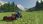 Farming Simulator 19 Alpine Farming Expansion (Digital) - zdjęcie 6