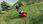 Farming Simulator 19 Alpine Farming Expansion (Digital) - zdjęcie 2