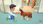 Gra Nintendo Switch My Universe Pet Clinic Cats and Dogs (Gra NS) - zdjęcie 6