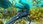 Gra Nintendo Switch Subnautica + Subnautica Below Zero (Gra NS) - zdjęcie 11